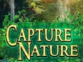 Spill Capture Nature