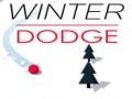 Spill Winter Dodge