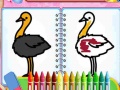 Spill Coloring Birds Game