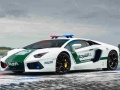 Spill Police Cars Jigsaw Puzzle