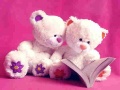 Spill Cute Teddy Bears Slide