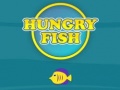 Spill Hungry Fish