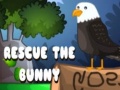 Spill Rescue The Bunny
