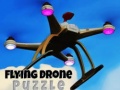 Spill Flying Drone Puzzle