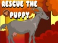 Spill Rescue The Puppy