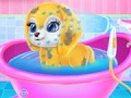 Spill Baby Taylor Caring Dog
