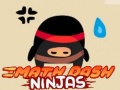Spill Math Dash Ninjas