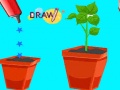 Spill Draw Missing Part