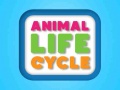Spill Animal Life Cycle