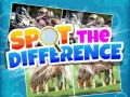Spill Spot The Difference