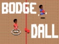Spill Bodge Dall