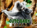 Spill Cute Baby Koala Bear