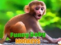 Spill Funny Baby Monkey