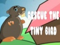 Spill Rescue The Tiny Bird