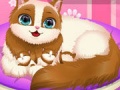 Spill Cute Kitty Pregnant