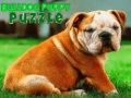 Spill Bulldog Puppy Puzzle