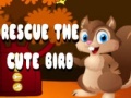 Spill Rescue The Cute Bird