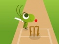 Spill Doodle Cricket