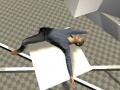 Spill Ragdoll Test