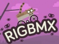 Spill RigBMX