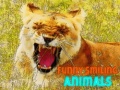 Spill Funny Smiling Animals