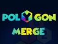 Spill Polygon Merge