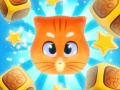 Spill Kitty Blocks
