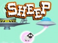 Spill Sheep