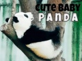 Spill Cute Baby Panda