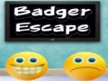 Spill Badger Escape