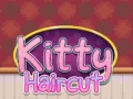 Spill Kitty Haircut