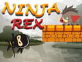 Spill Ninja Rex