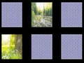 Spill Nature Memory