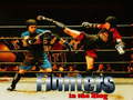 Spill Fighters in the Ring