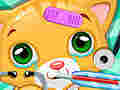 Spill Doctor Pets