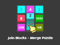 Spill Join Blocks Merge Puzzle