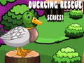 Spill Duckling Rescue Series1