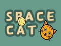 Spill Space Cat