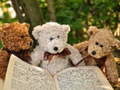 Spill Cuddly Three Teddy Jigsaw