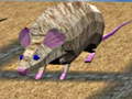Spill Mouse Race Islands