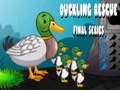 Spill Duckling Rescue Final Episode