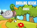Spill Duckling Rescue Series2