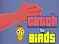 Spill Catch the Birds