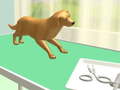 Spill Paw Care