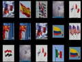 Spill Memorize the flags