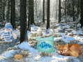 Spill Winter Wonderland Forest Adventure