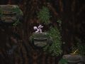 Spill Cave Descent