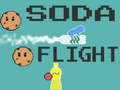 Spill Soda Flight
