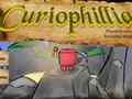 Spill Сuriophillia