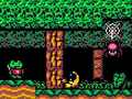 Spill Froggy Knight: Lost in the Forest